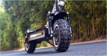 Off-Road Elektrospoty: Popis, Najlepšie modely a výberové jemnosti