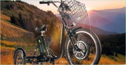 Trojkolesové elektrické bicykle: odrody, značky, výber