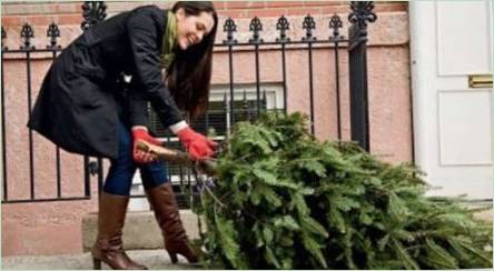Kedy a ako odstrániť vianočný strom po novom roku?