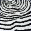 Lesklý koberec Zebra z továrne Bretz