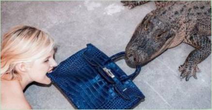 Dámske tašky z krokodíla