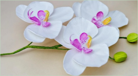 Urobiť orchidey z Foamyrana