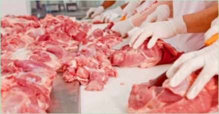 Všetko o profesii technológov výroby mäsa