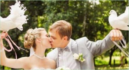 Holuby na svadbe - všetko o zvláštností tradície
