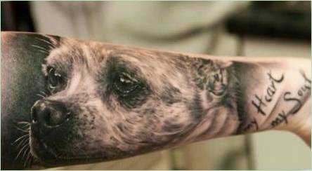 Aké sú tetovanie so psami a tam, kde je vyplniť?