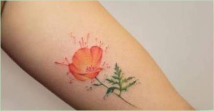 Hodnota a nákresy makovej tetovanie