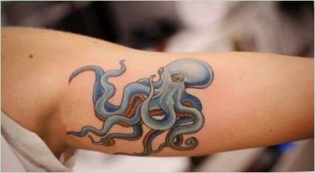 Čo robiť tetovanie s chobotnicou a to, čo sa stalo,?