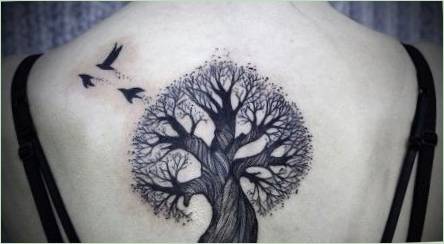Čo Tattoo  Tree  a čo sa stanú?