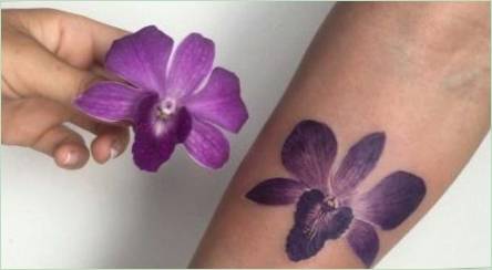 Čo tetovanie s orchideami a to, čo sa stanú?