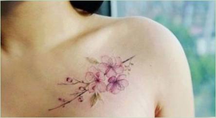 Čo znamená tetovanie znamená a  sakura  a ako sa to stane?