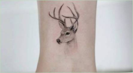 Prehľad Tattoo s jeleňom