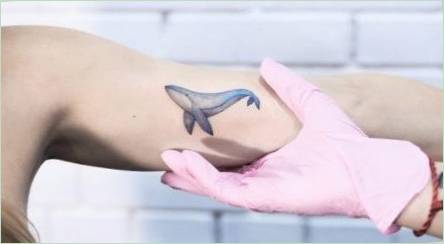 Prehľad tetovanie s veľrýbmi