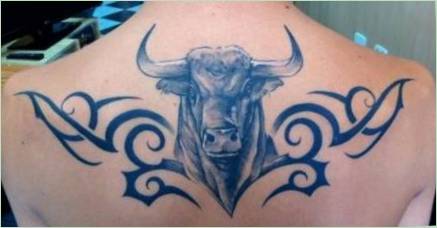 Tattoo  Bull : hodnota a náčrty