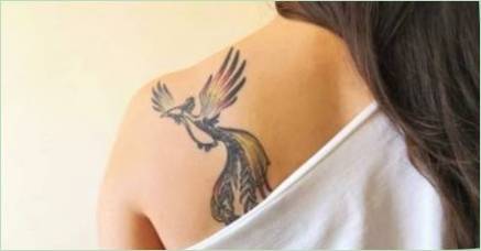 Tattoo  Phoenix : Význam a najlepšie náčrty
