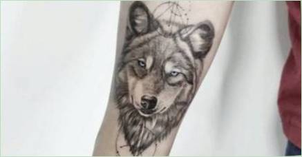 Tattoo  Wolf : Value a náčrtky