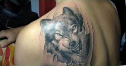 Tattoo  Wolf Creek 