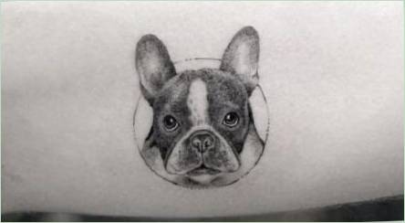 Tattoo Prehľad  Bulldog 