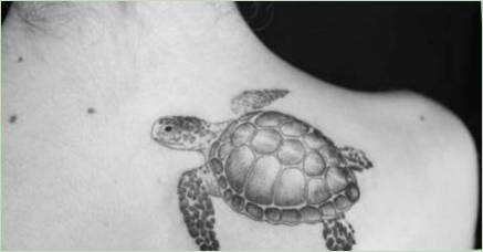 Všetko o Tattoo  Turtle 