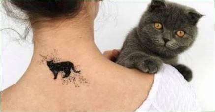 Všetko o tetovaní a  Cat 
