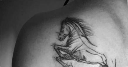 Všetko o tetovaní s kone