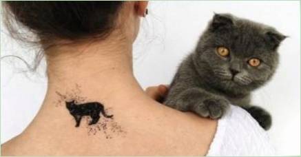 Význam a náčrty tetovanie  CAT  pre dievčatá