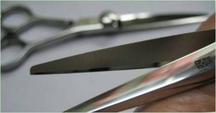 Brúsenie kaderníckych nožníc: Zariadenia a funkcie