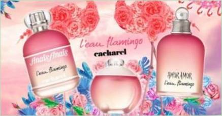 Všetko o ženských parfumy Cacharel